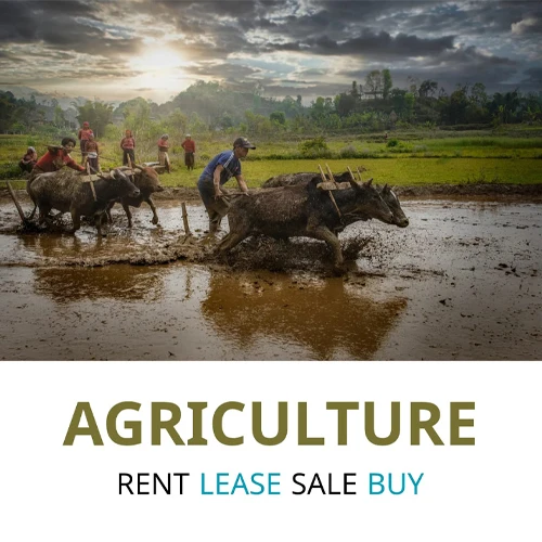 Agriculture
